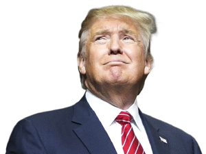 Donald Trump Transparent PNG Image