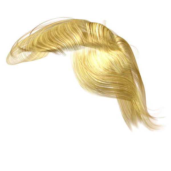 Hair graphy Caricature Metal Transparent PNG Image