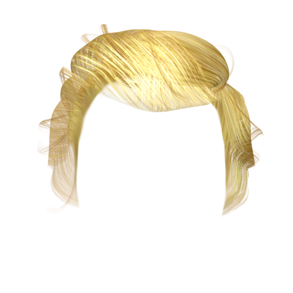 Hair Wig Blond Accessory Transparent PNG Image