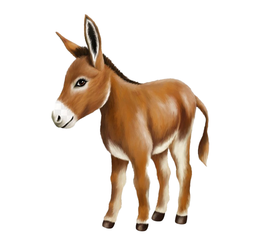 Donkey Transparent PNG Image