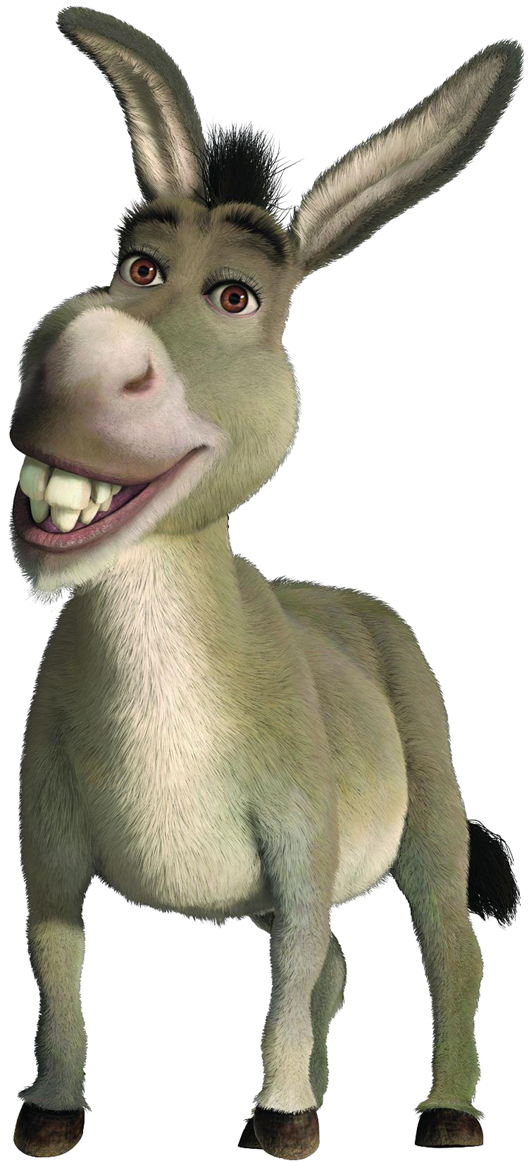 Funny Donkey Transparent PNG Image