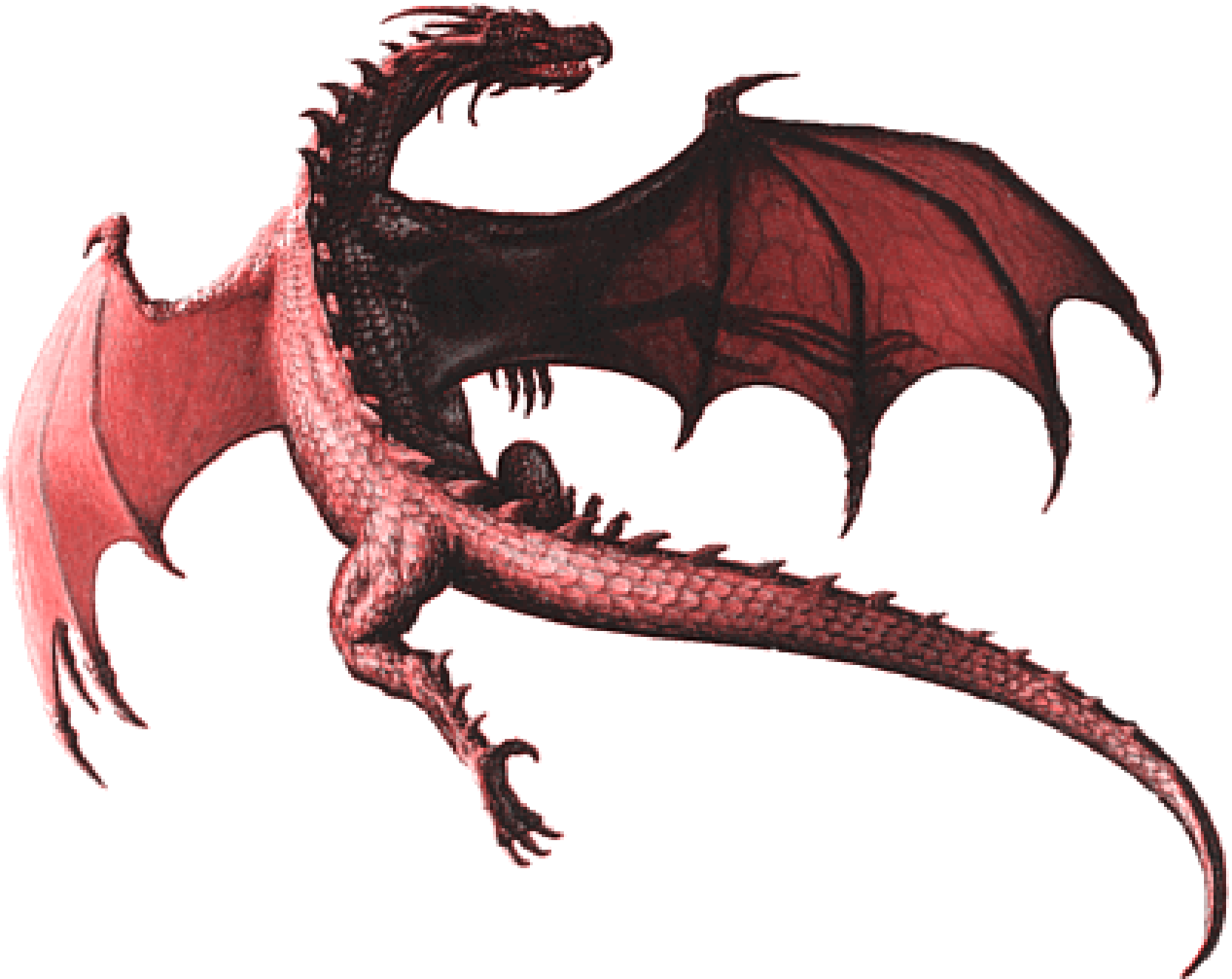 Realistic Dragon Background Transparent PNG Image