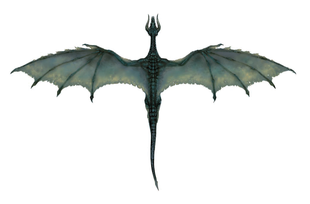 Flying Dragon Transparent PNG Image