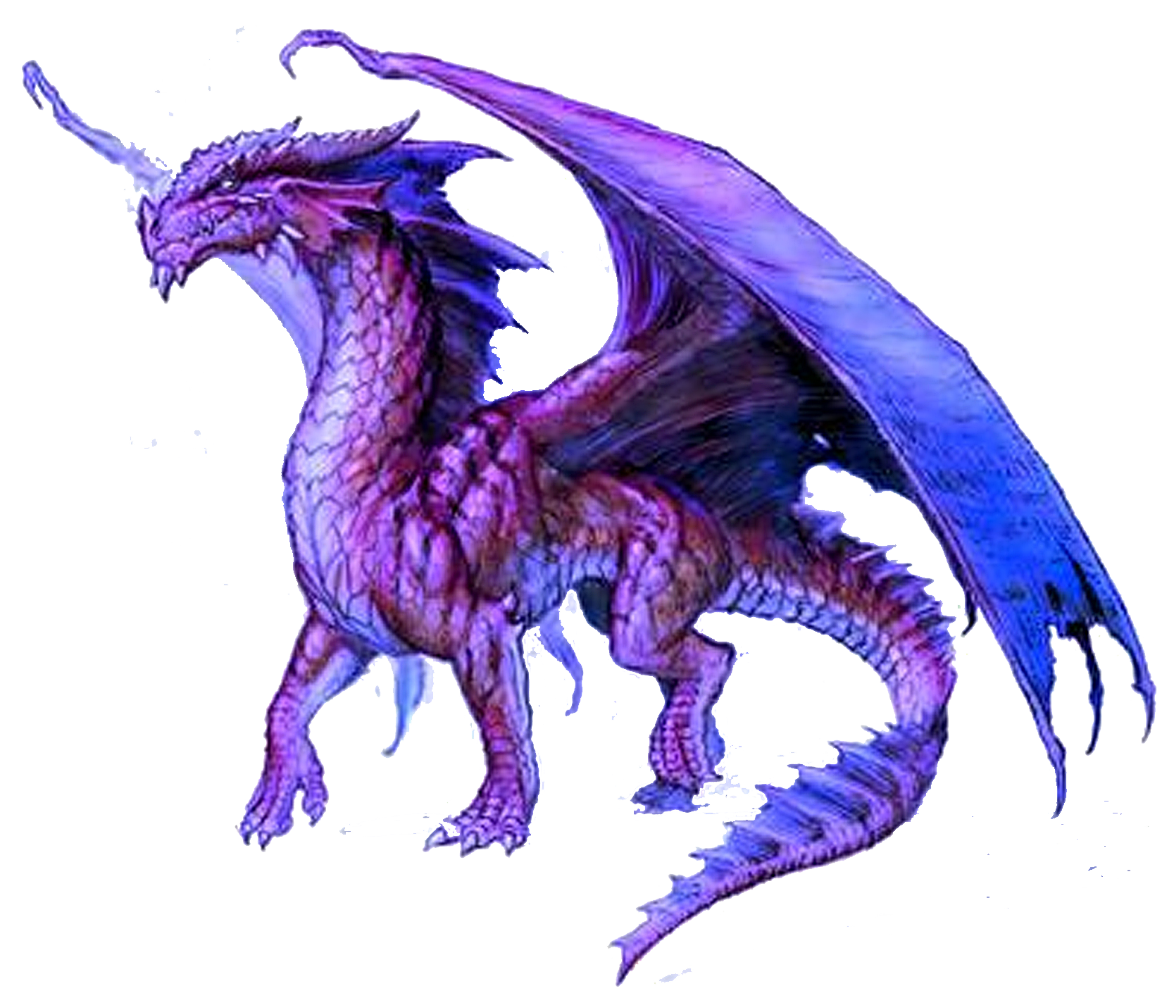 Dragon 10 Transparent PNG Image