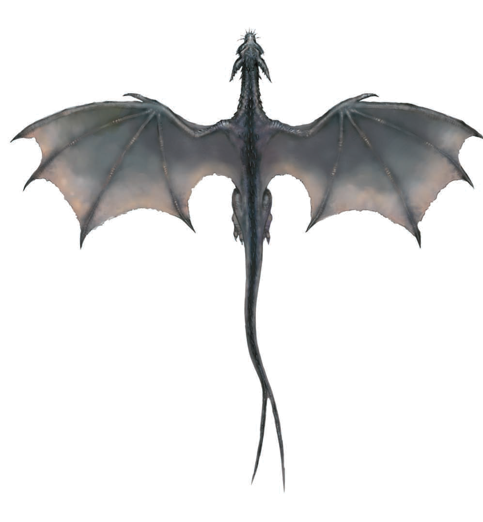 Eragon Smaug Wing Dragon Transparent PNG Image