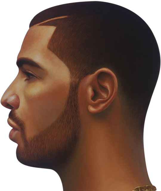 Drake Transparent PNG Image