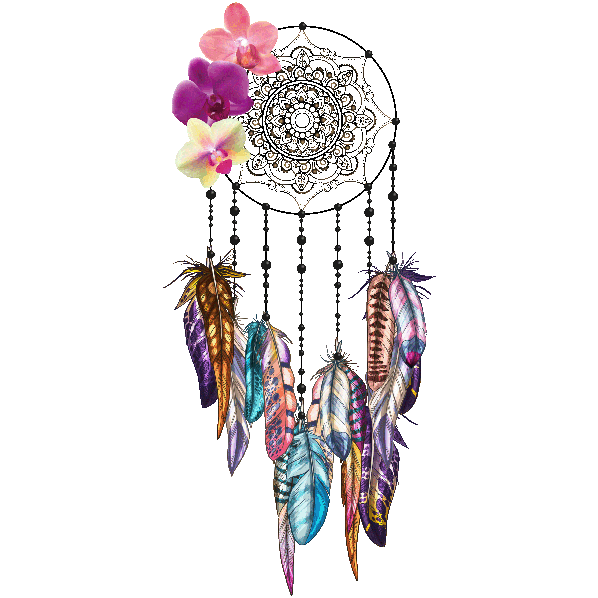 Wall Sticker Dreamcatcher Decal Orchids Transparent PNG Image