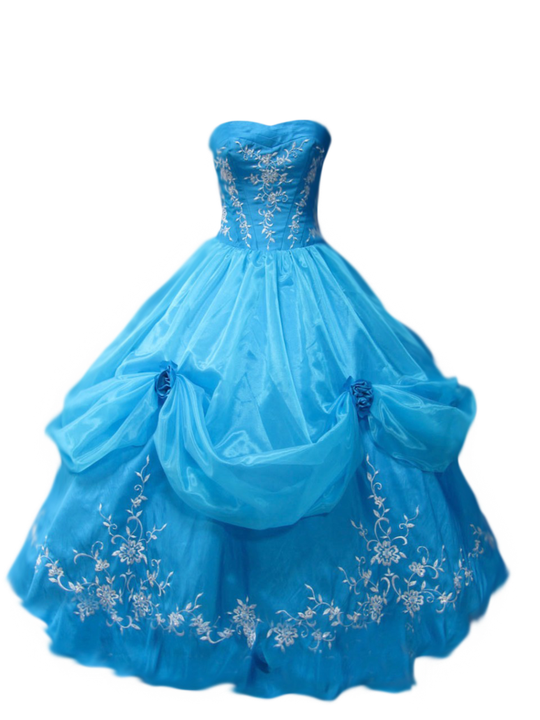 Girl Dress Long Transparent PNG Image