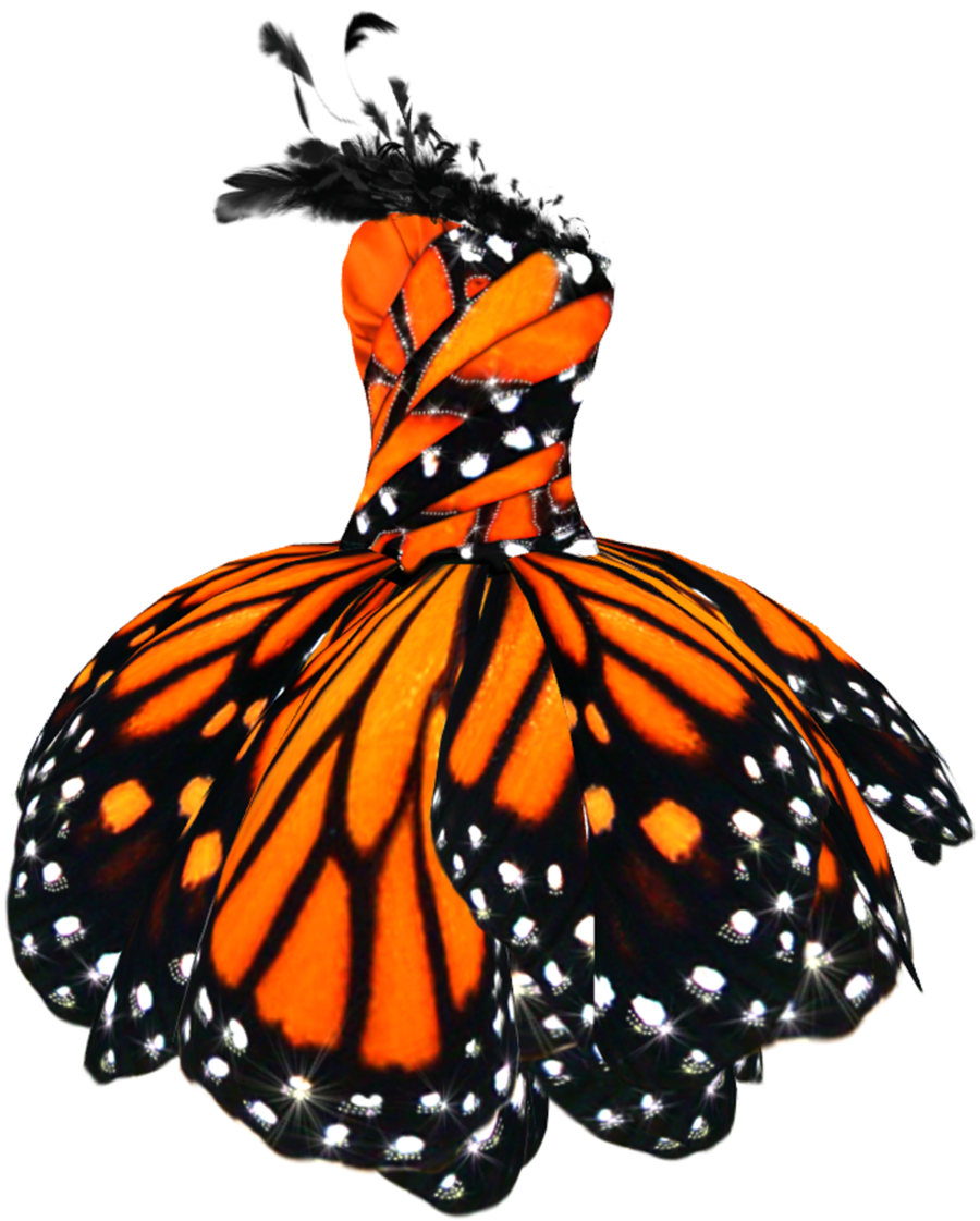 Dress Transparent PNG Image