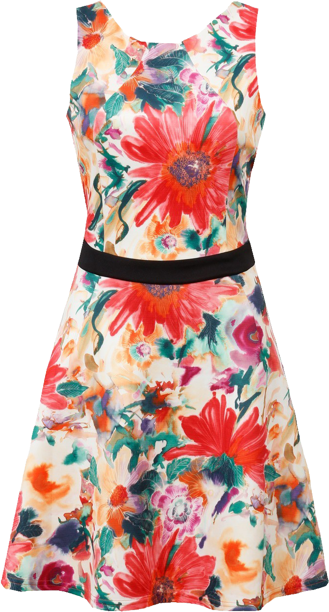 Floral Dress Transparent PNG Image