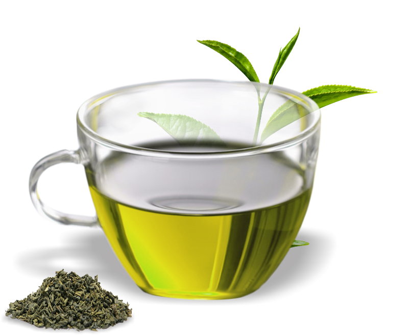 Organic Mint Green Tea Transparent PNG Image