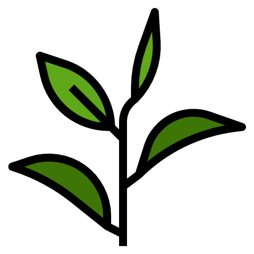 Tea Leaves Green Stem Transparent PNG Image