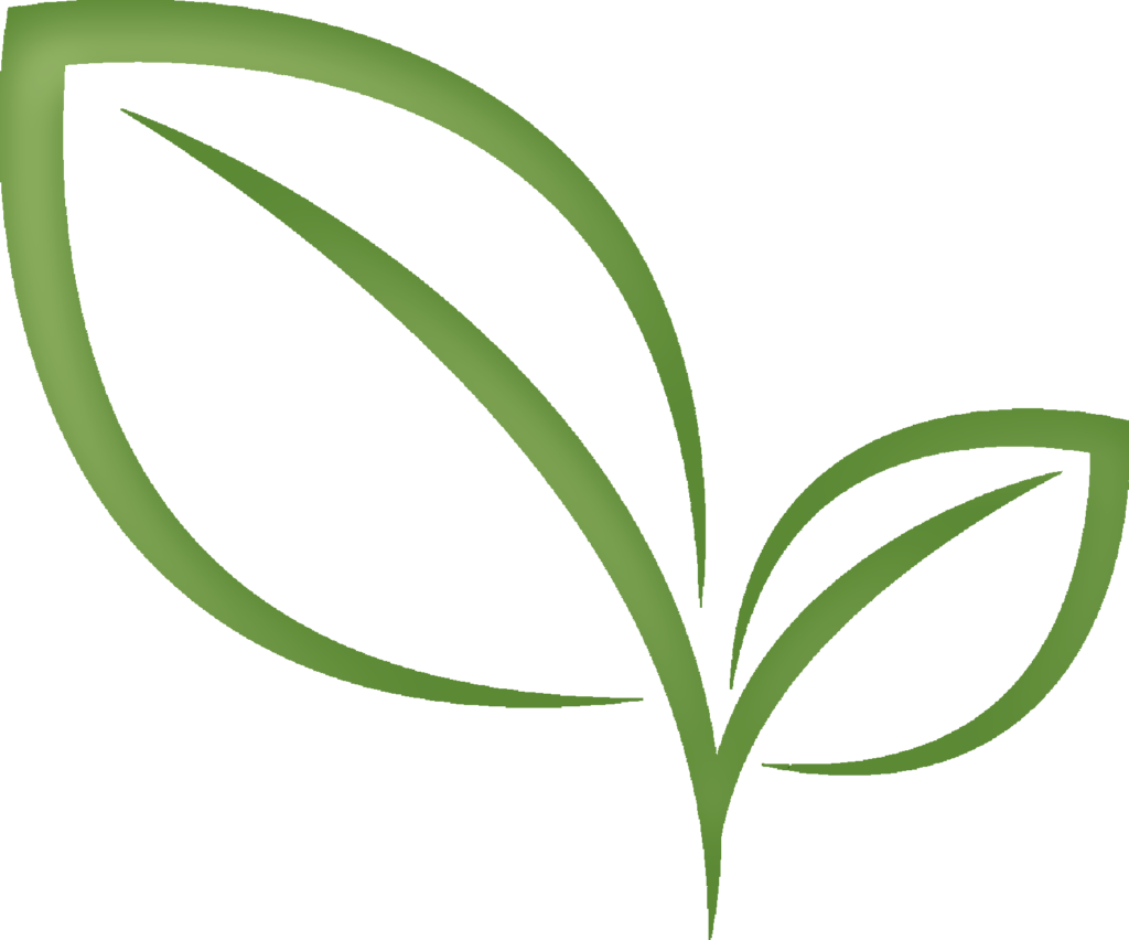 Tea Leaves Vector Green Transparent PNG Image