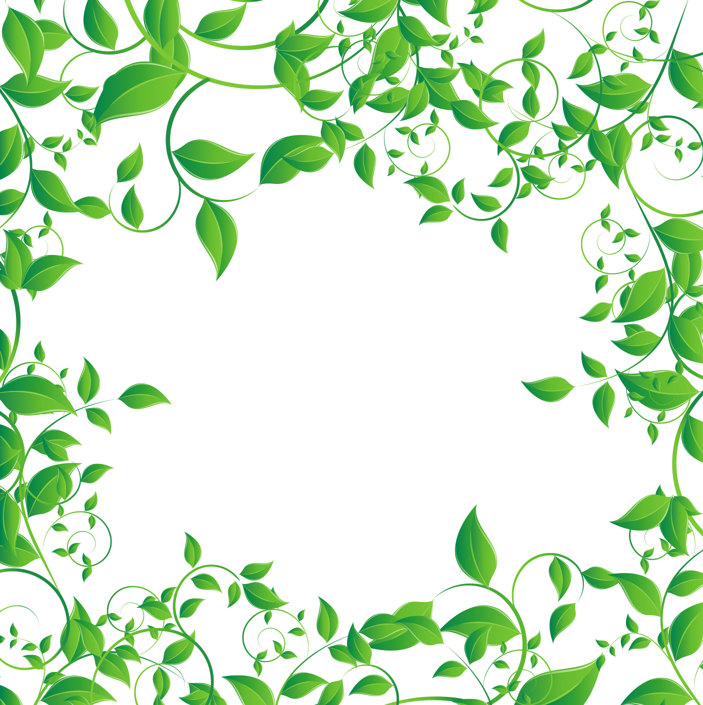 Tea Leaves Vector Green Transparent PNG Image