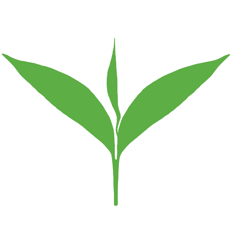 Tea Leaves Vector Green Transparent PNG Image