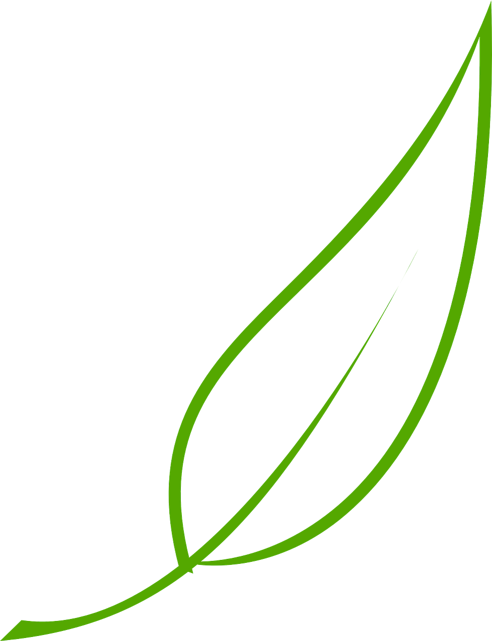 Tea Leaves Vector Green Transparent PNG Image