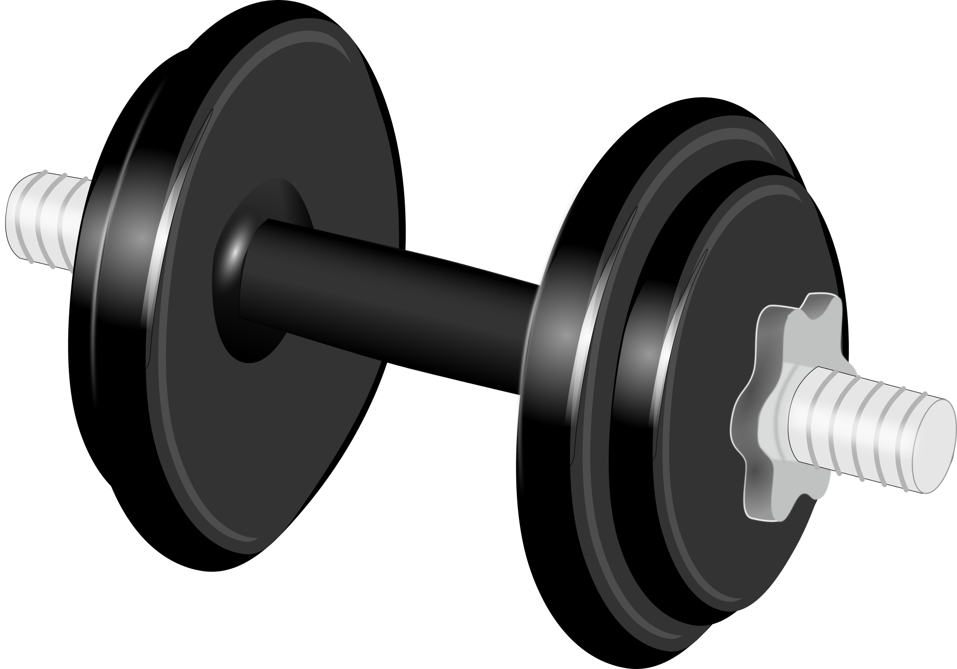 Vector Dumbbells Fitness Transparent PNG Image