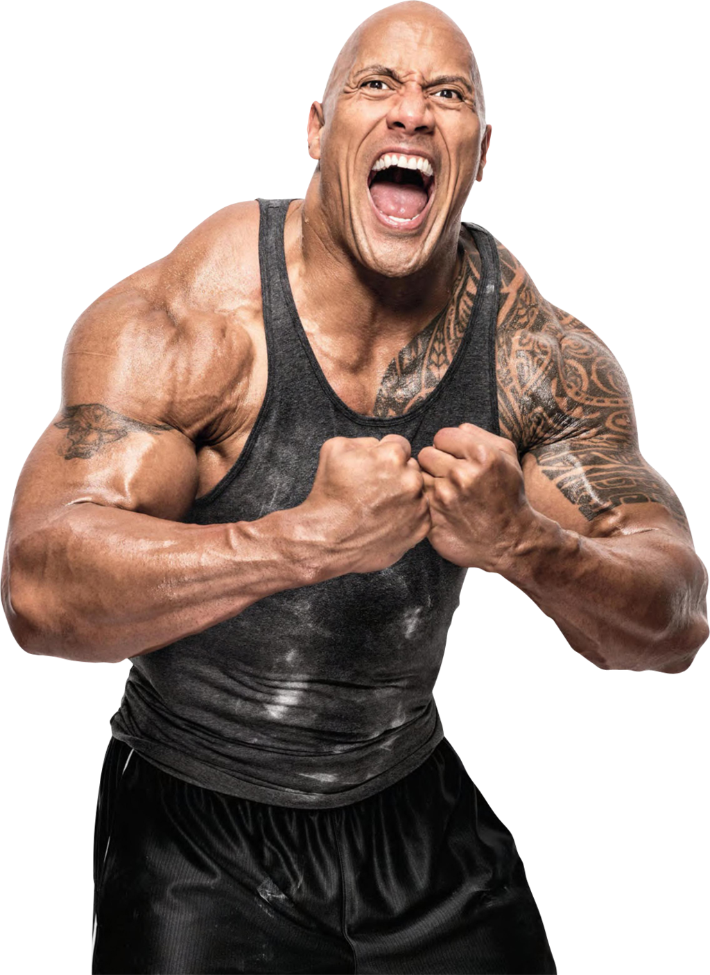 Body Dwayne Johnson Transparent PNG Image