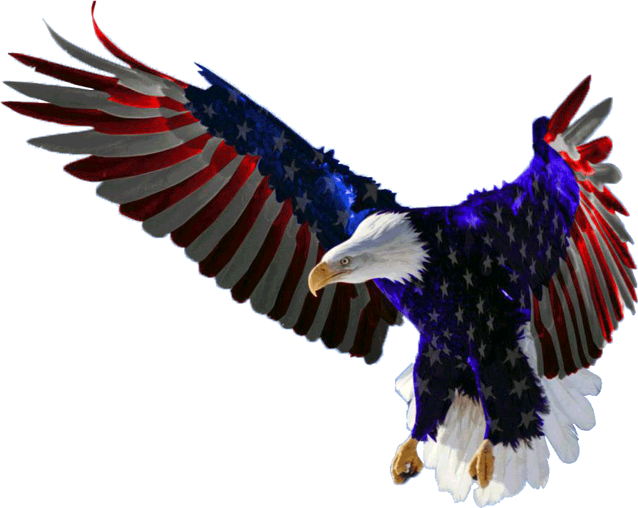 Eagle American Transparent PNG Image