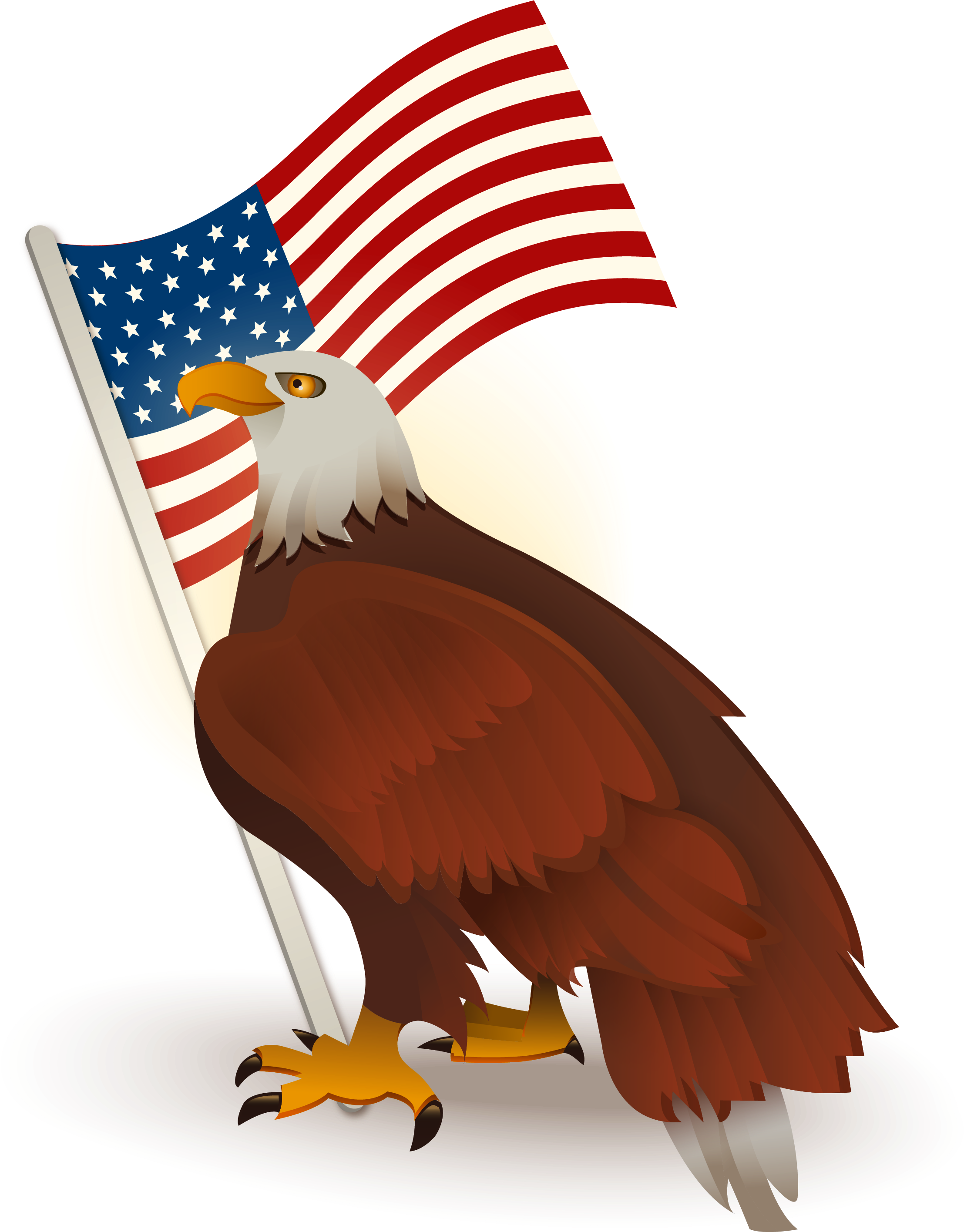 Eagle American Transparent PNG Image