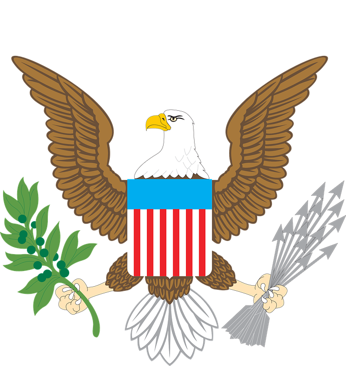 Eagle American Transparent PNG Image