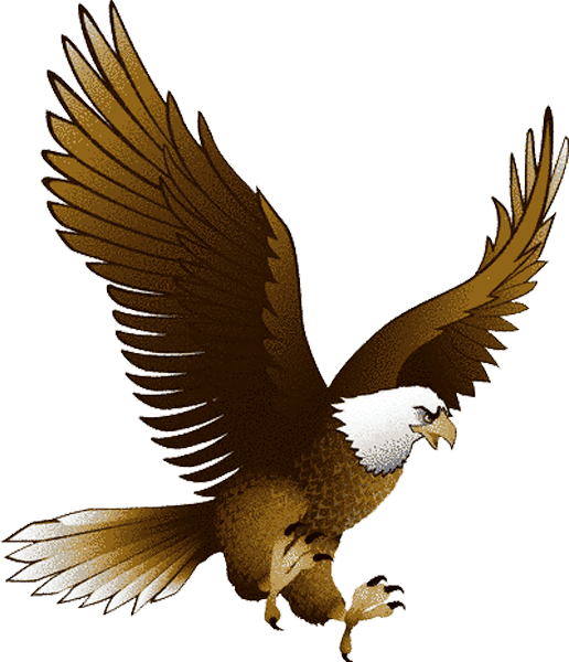 Eagle With Transparency Transparent PNG Image