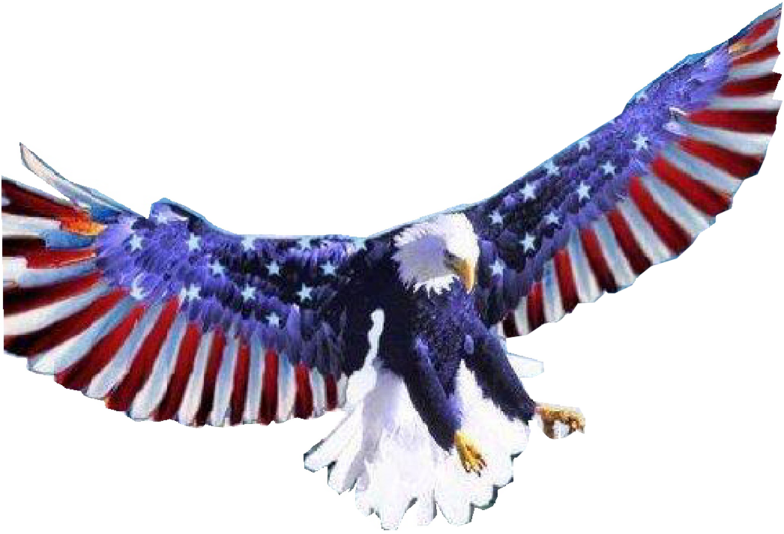 Eagle American Transparent PNG Image