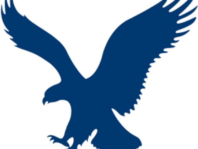 Eagle American Transparent PNG Image