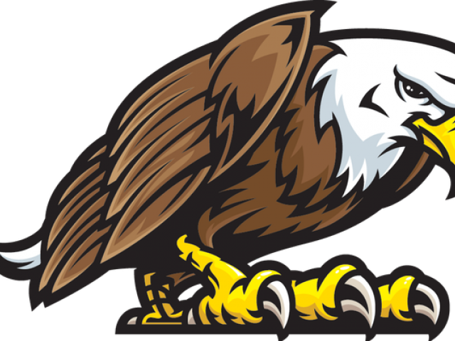 Eagle Sitting Transparent PNG Image