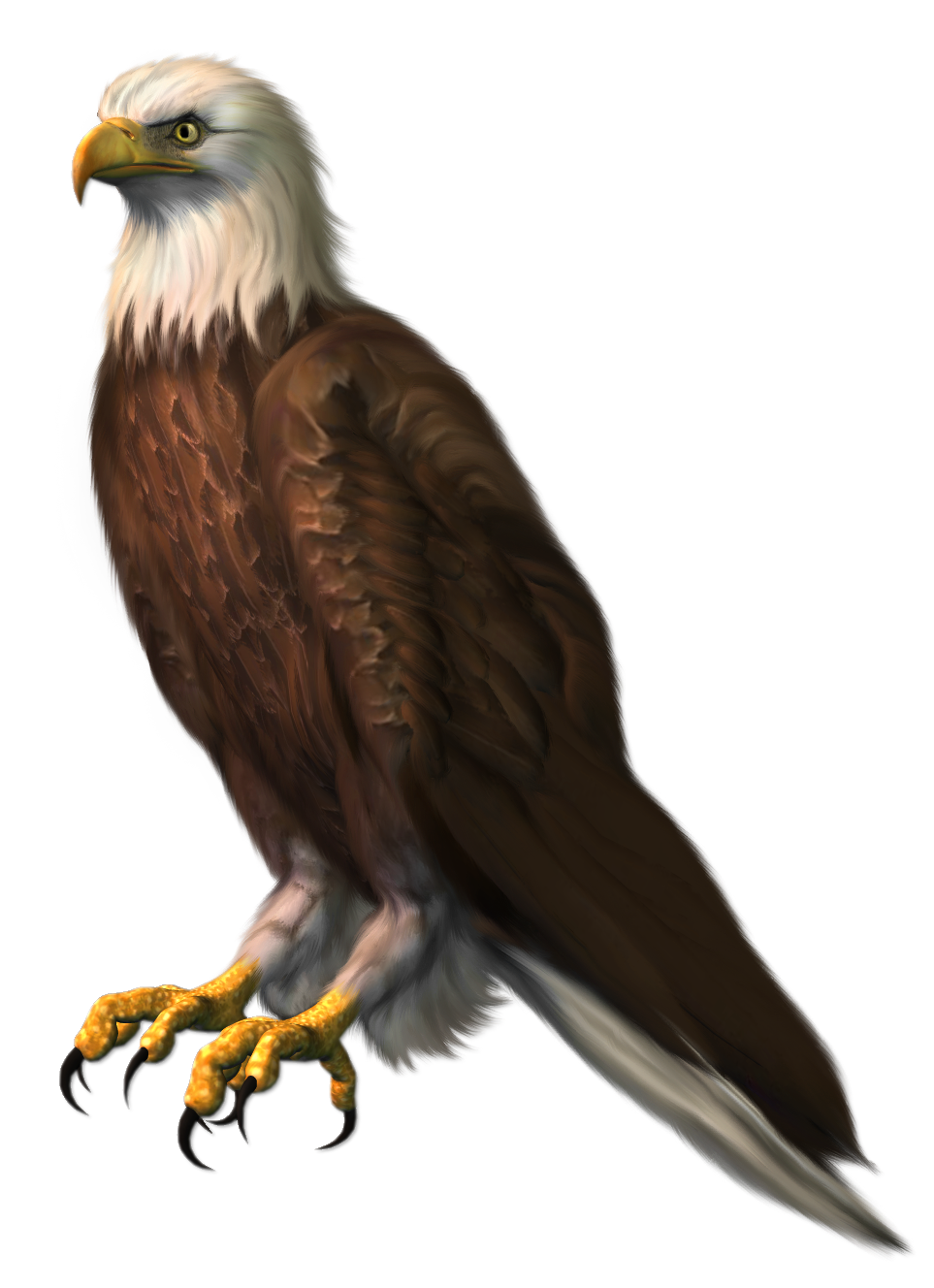 Eagle Sitting Transparent PNG Image