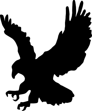 Eagle Black Siluet Transparent PNG Image