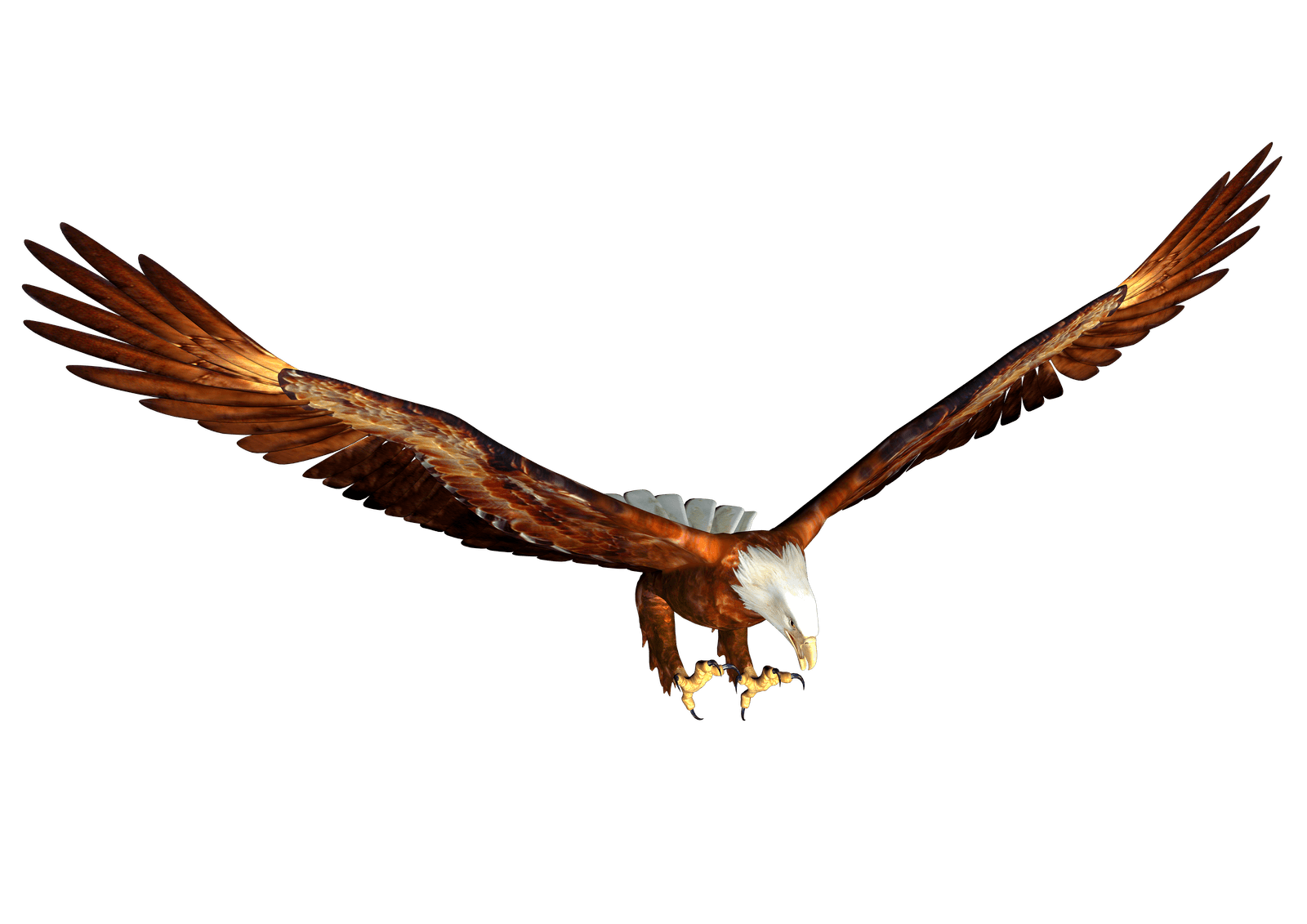 Eagle Transparent PNG Image