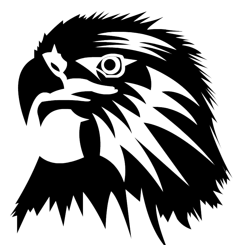 Eagle Head Transparent PNG Image