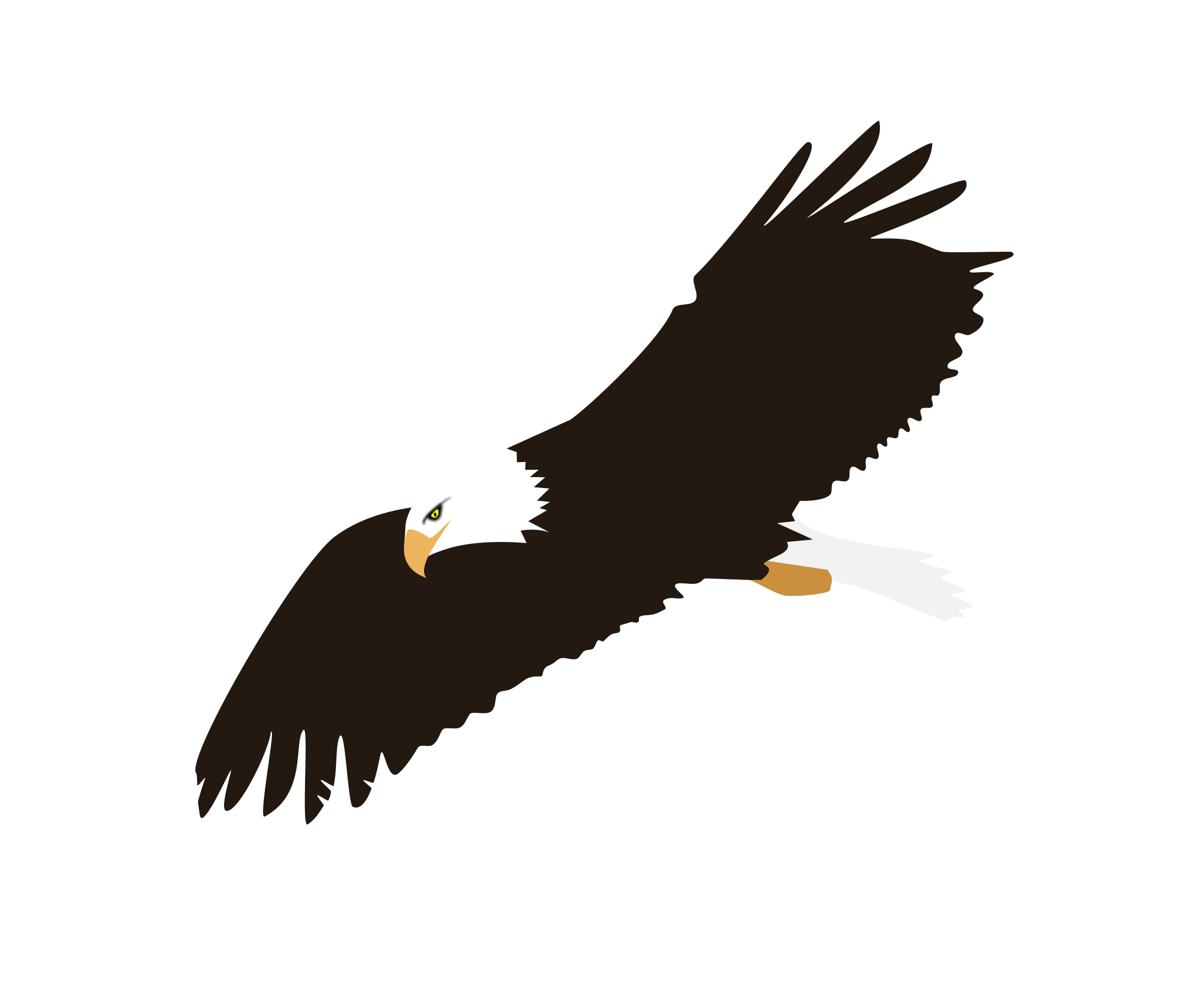 Soaring Eagle Transparent PNG Image
