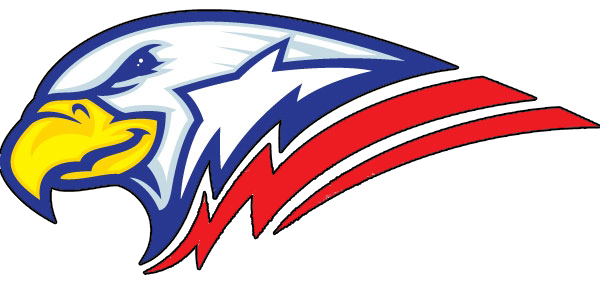 Eagle Head Transparent PNG Image