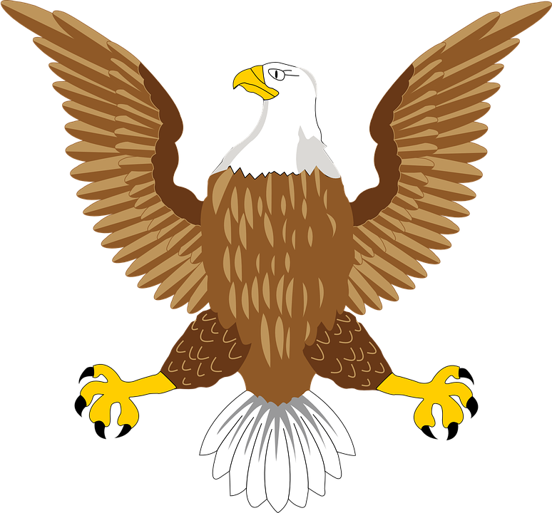 Eagle Symbol Transparent PNG Image