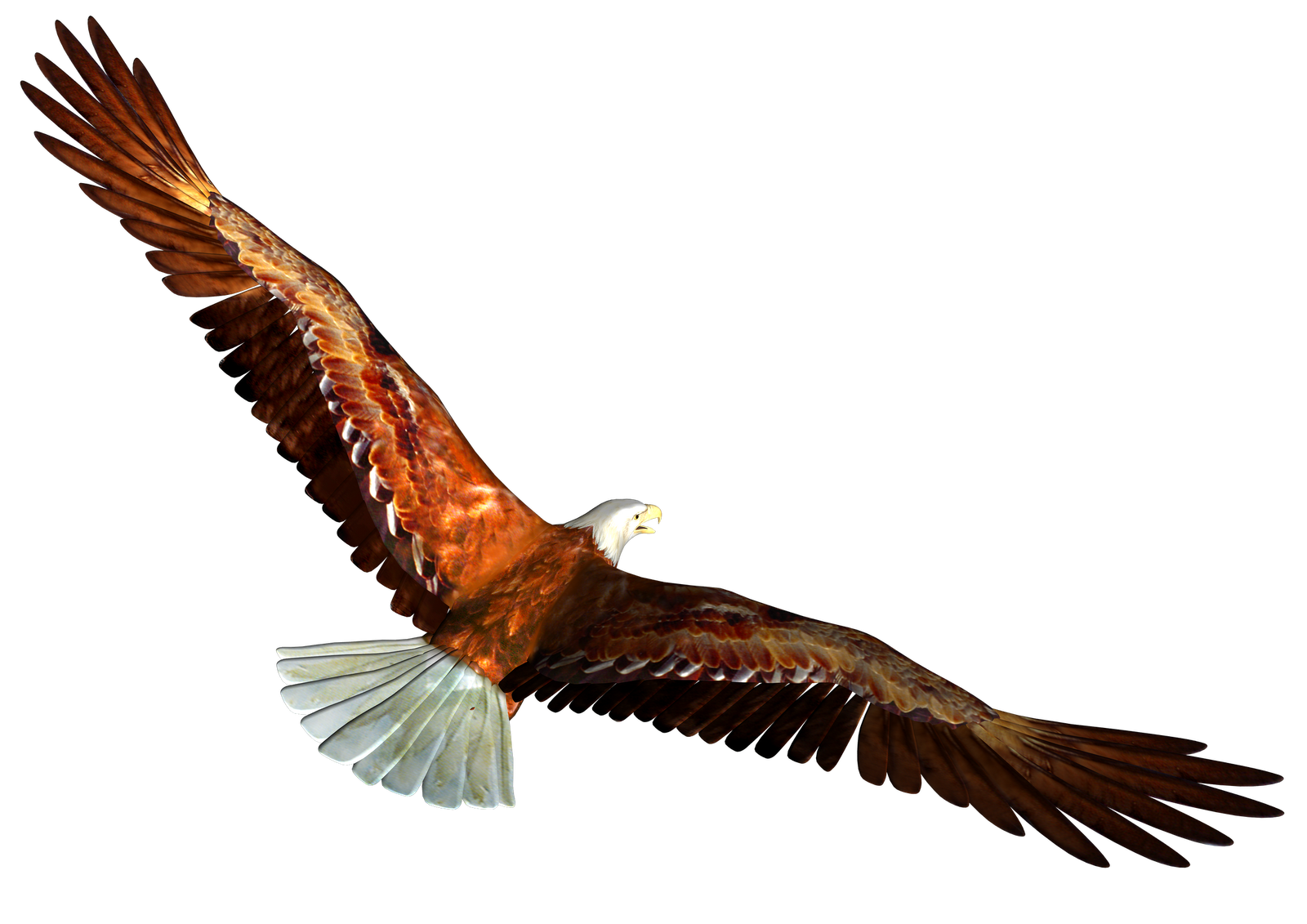 Soaring Eagle Transparent PNG Image