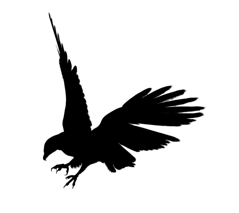 Eagle Black Siluet Transparent PNG Image