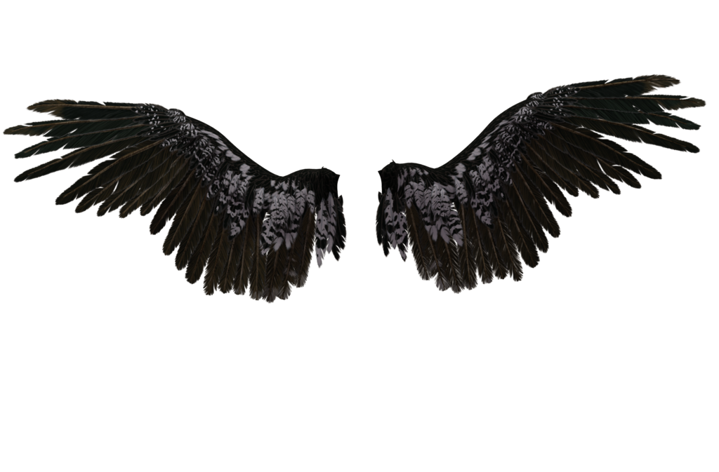 Eagle Neck Drawing Castiel Wings Transparent PNG Image