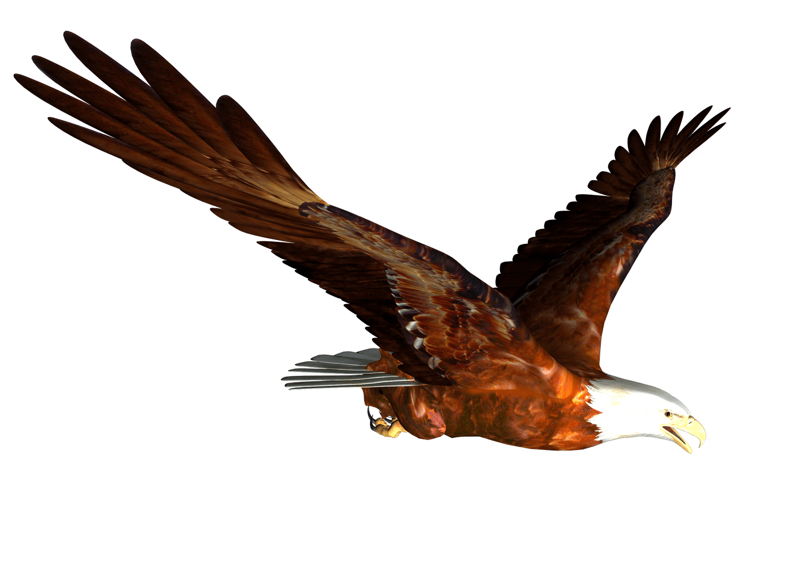 Flying Eagle Transparent PNG Image