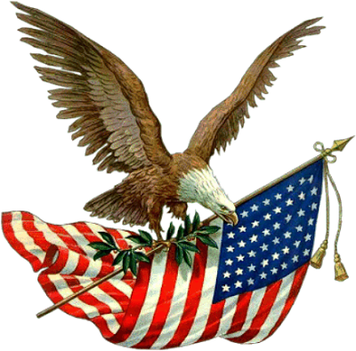 Eagle Memorial Parade Day Holiday Bird Transparent PNG Image