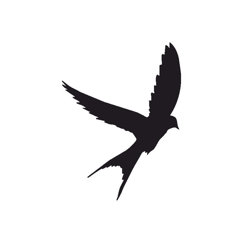 Tattoo Swallow Silhouette Bird Eagle Transparent PNG Image