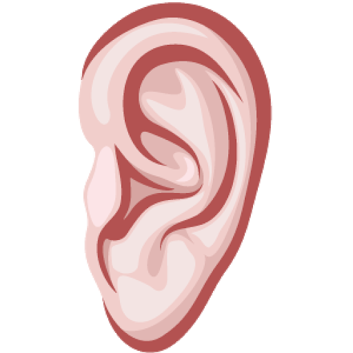 Ear Vector Transparent PNG Image
