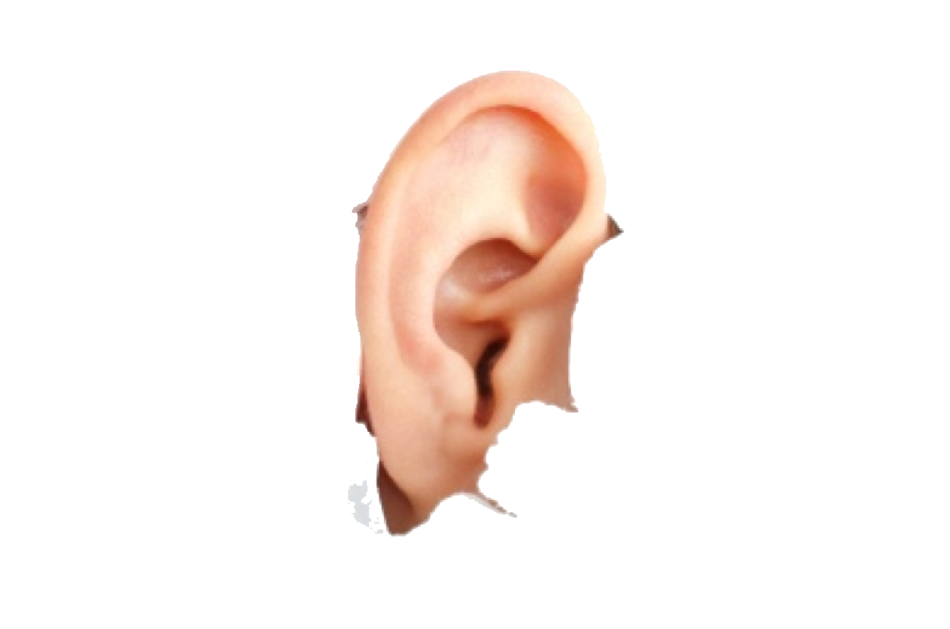 Human Ear Transparent PNG Image