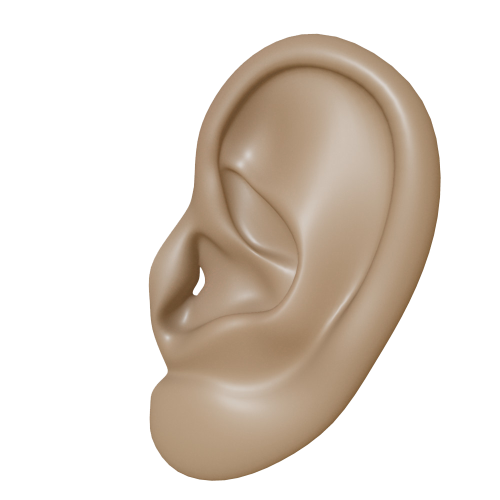 Ear Transparent PNG Image