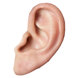 Ear Transparent PNG Image