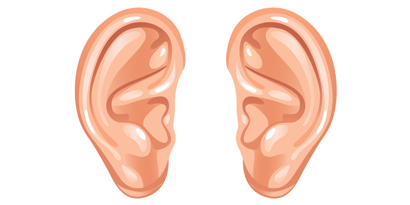 Ear Transparent PNG Image