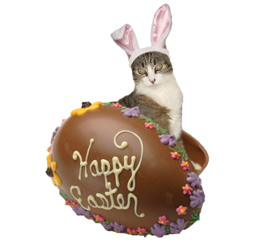 Easter Bunny Chocolate Transparent PNG Image