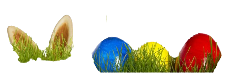 Egg Grass Easter Transparent PNG Image