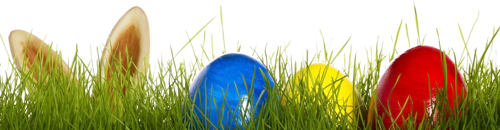 Egg Grass Easter Transparent PNG Image